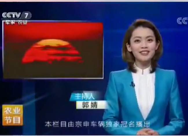 了不起的好麗友：郭婧，畢業(yè)于中國傳媒大學(xué)，現(xiàn)就業(yè)于中央電視臺